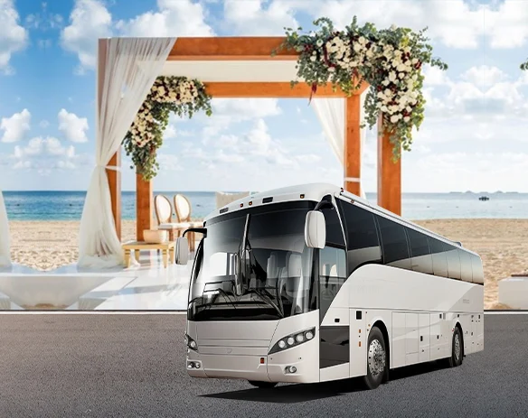 Wedding Bus Transportation